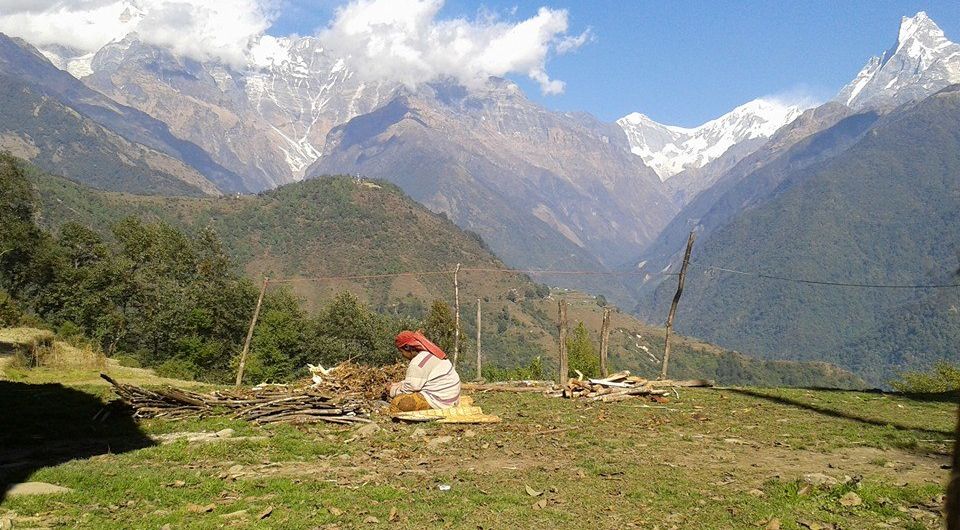 Mount Macchapucchre ( the Fishtail Mountain ) from Gandrung ( Ghandruk ) Village