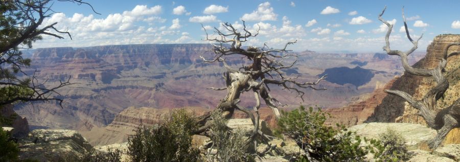 Grand Canyon from the South Rim