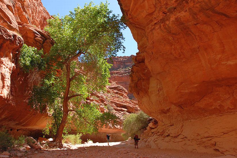 The Havasupai trail to the Havasu Falls in Arizona, USA