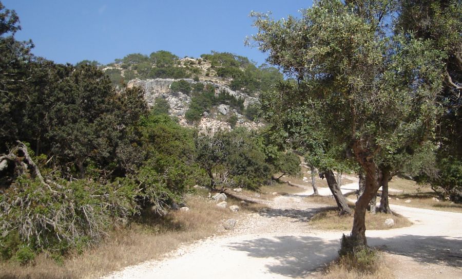 Avakas Gorge in the Akamas Peninsula of western Cyprus