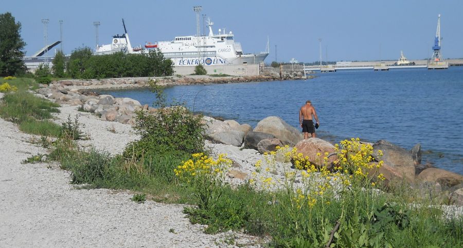 Port from Tallin Bay