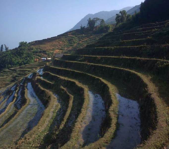 Terraced Landscape near Sa Pa in Lao Cai Province of Northern Vietnam