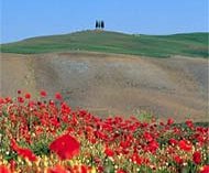 http://www.tuscany-villas.net 