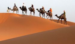 http://www.cameltrekkinginmorocco.com/