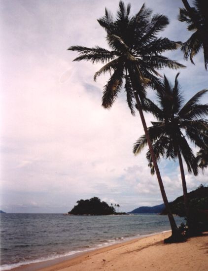 Beach at Kampung Paya on Pulau Tioman