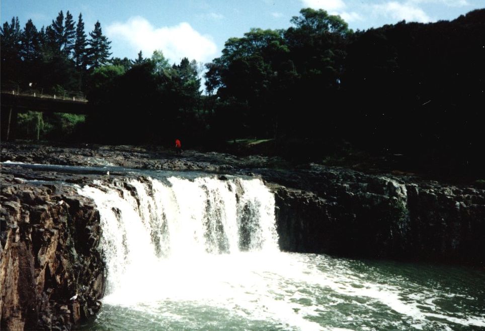 Haruru Falls on the Waitangii River in the North Island of New Zealand