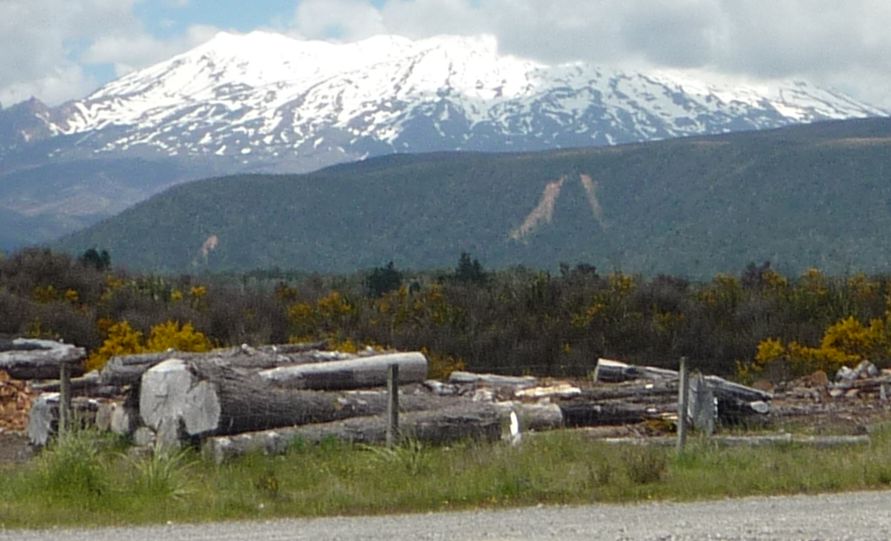 Mount Ruapehu from the Desert Road