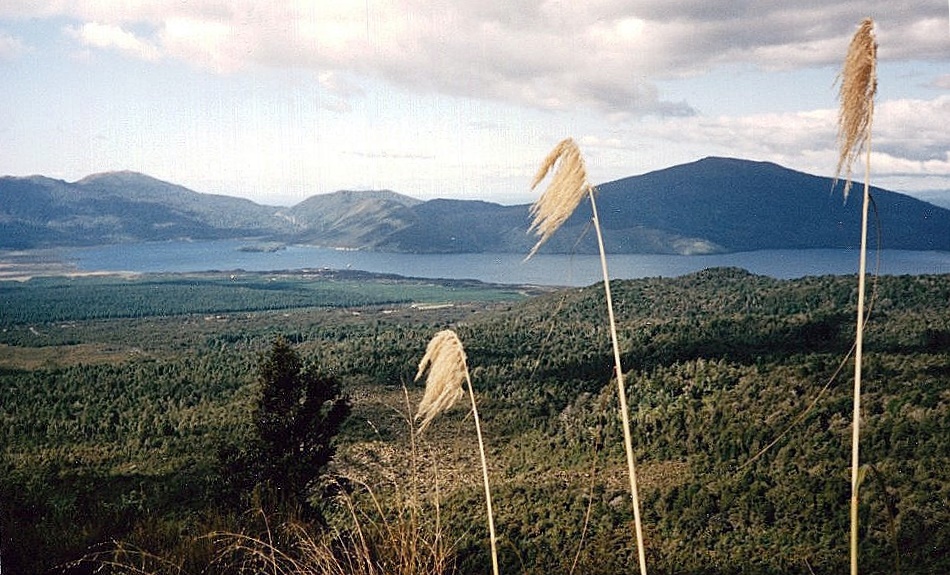 Lake Taupo on descent from Tongariro Traverse 