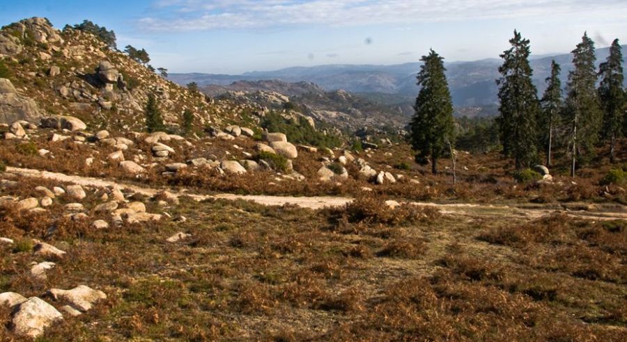 Scrub brush and rock outcrops in Peneda Geres NP