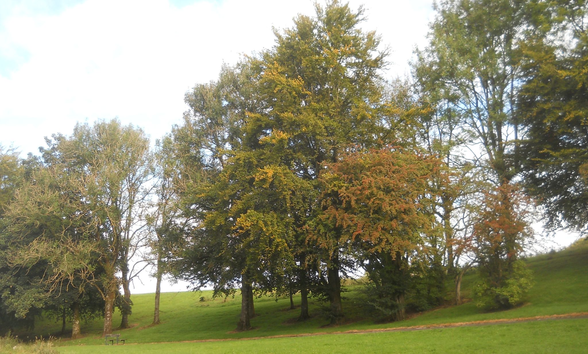 Lennox Park in Milngavie