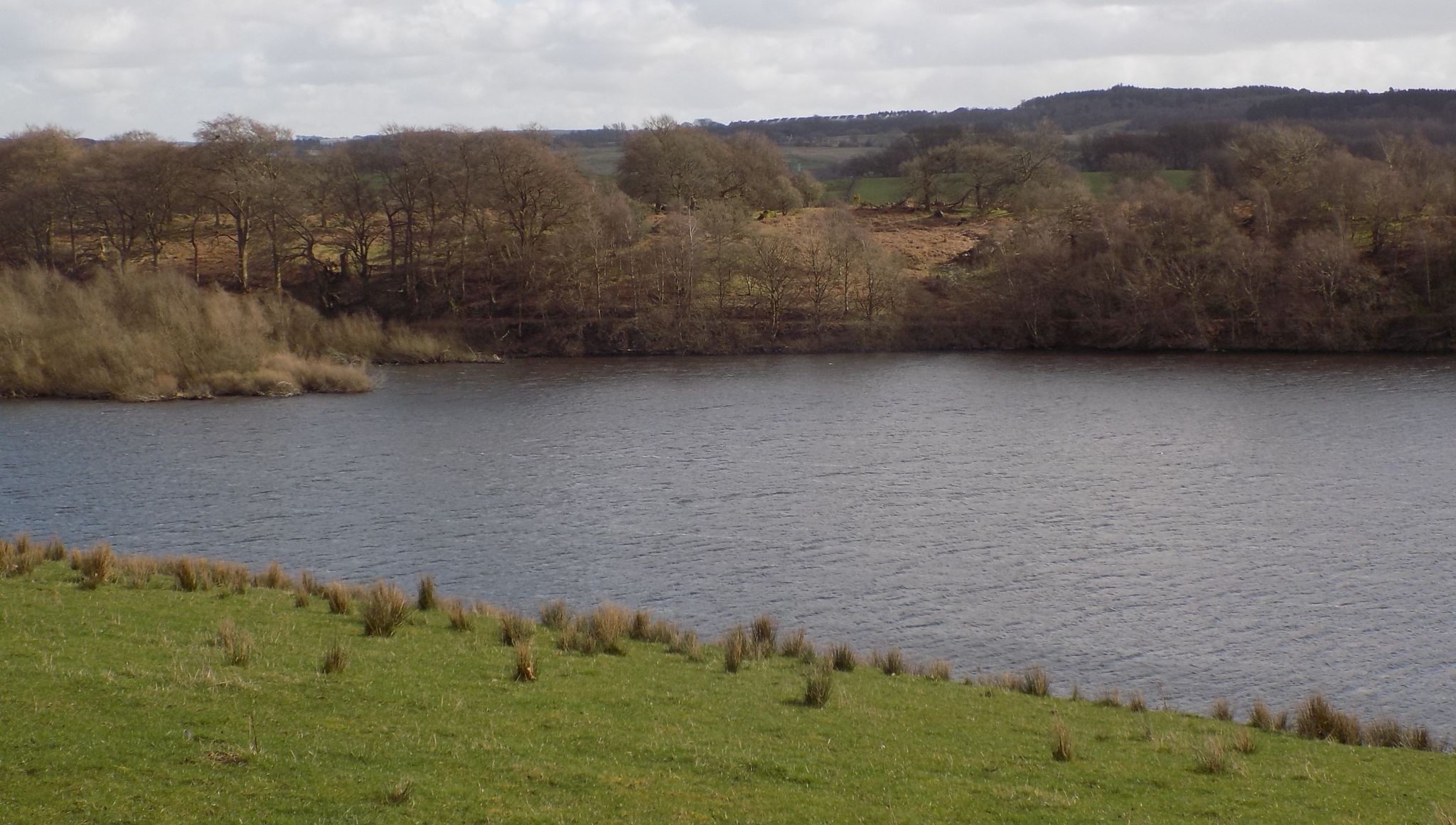 Banton Loch from northern side