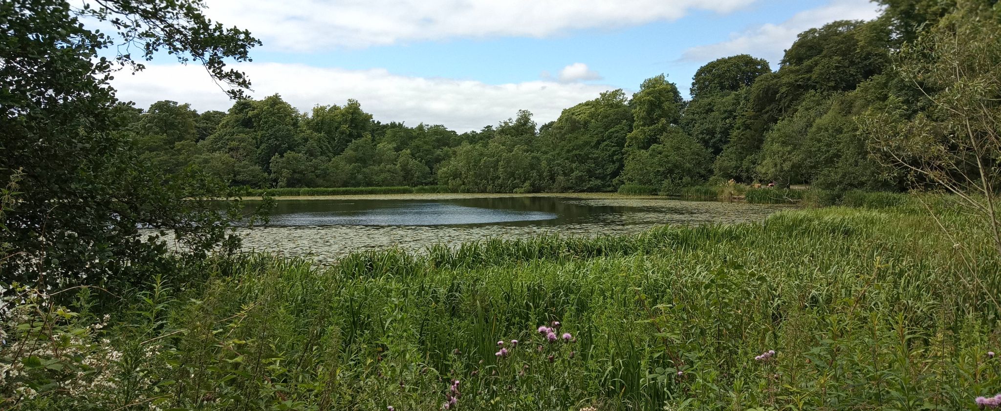 Kilmardinny Loch