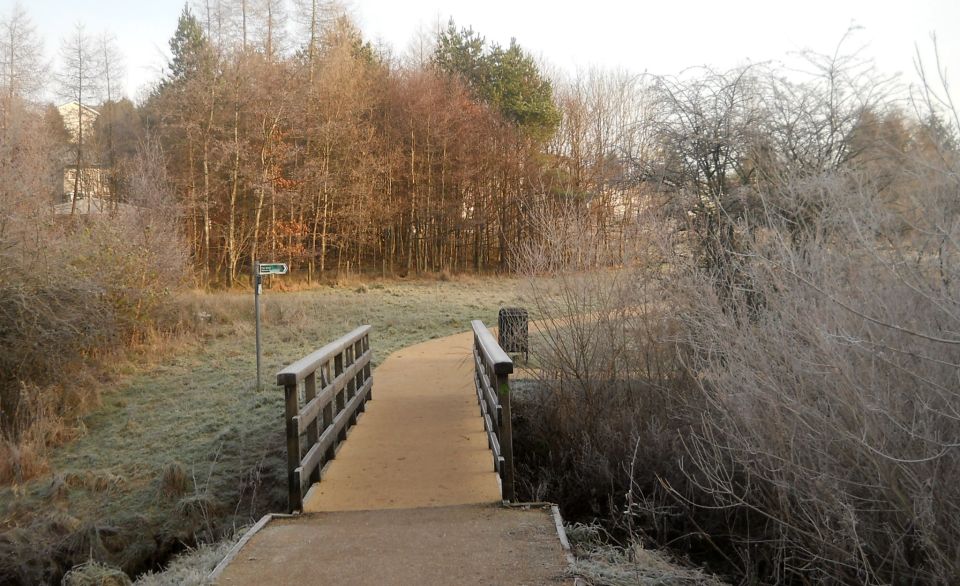 Bridge over burn in the Craigdhu Wedge