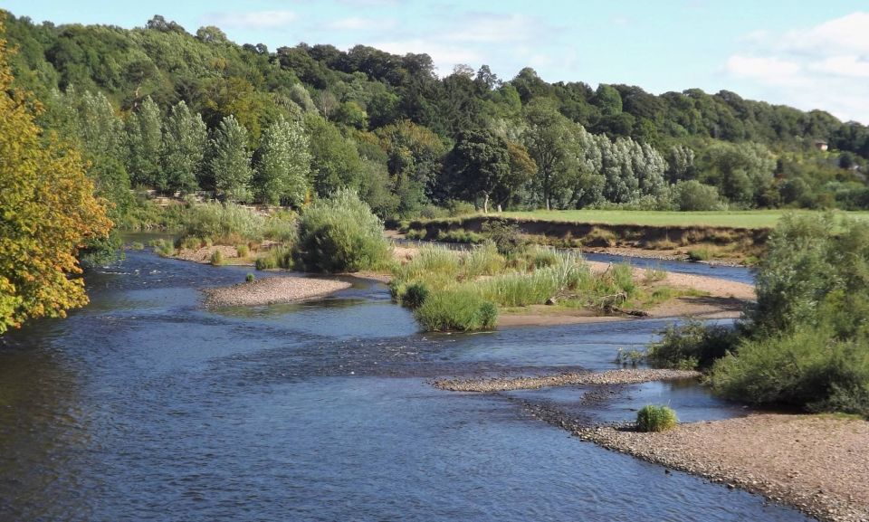 View from Green Pedestrian Bridge over the River Clyde at Uddingston