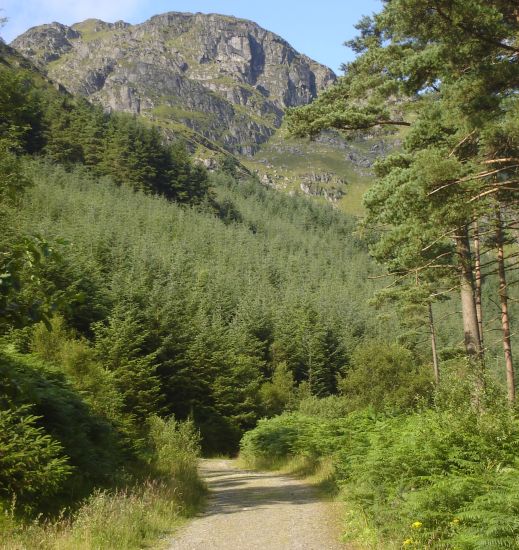 The Brack in the Arrochar Region of the Southern Highlands of Scotland