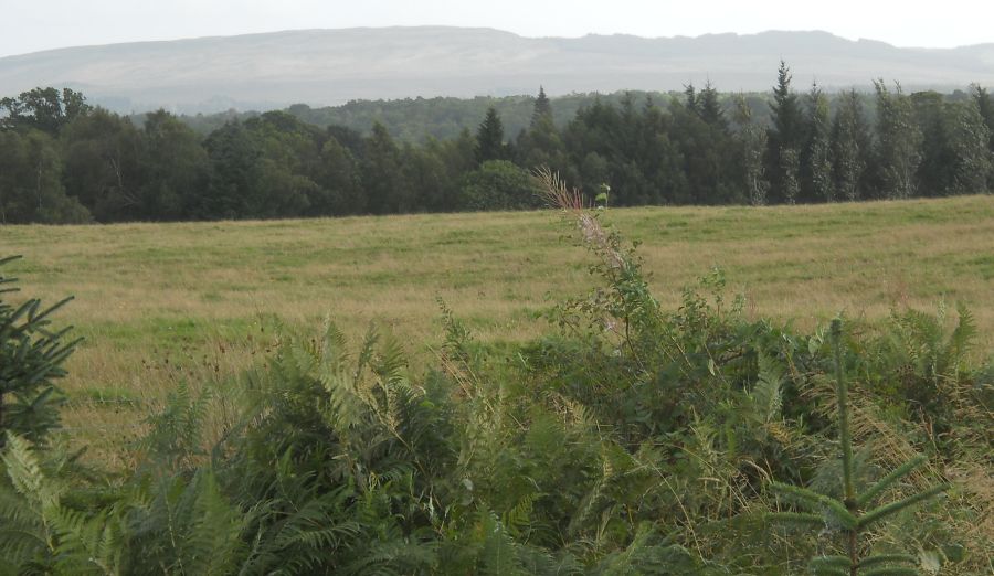 The Kilpatrick Hills from the outskirts of Drymen