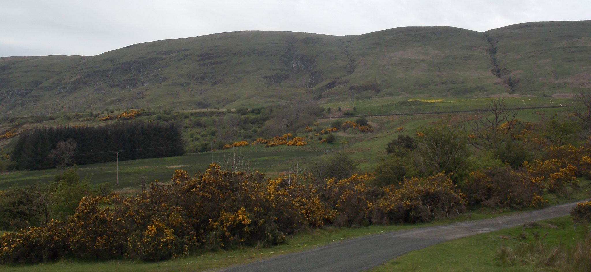 Campsie Fells from Balmore Farm Road