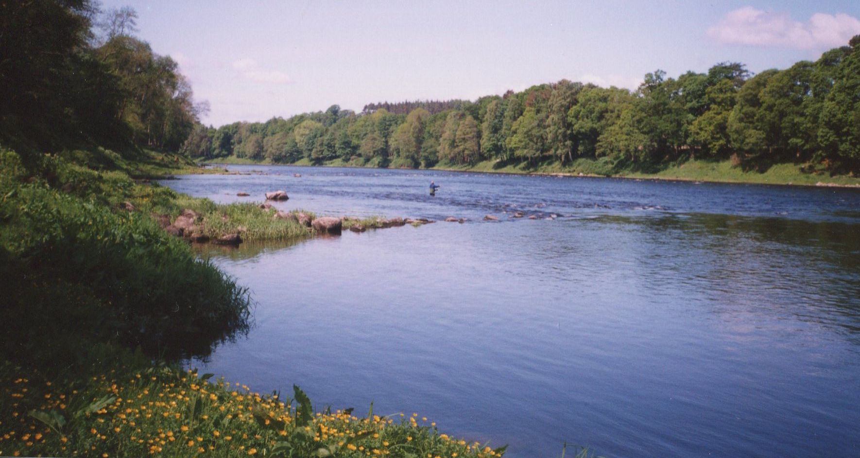 River Tay at Cargill