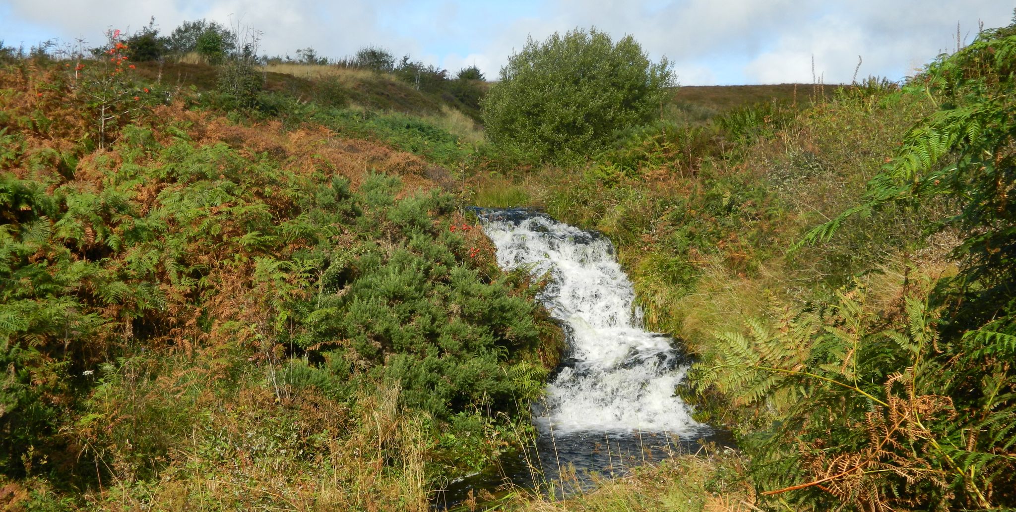 Waterfall above Gray Mare's Tail on Cochno Burn