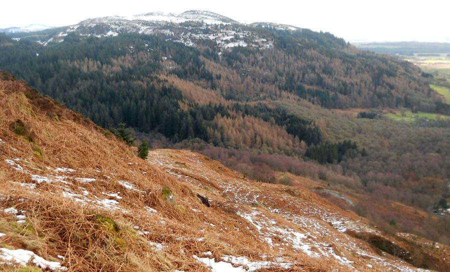 Menteith Hills and Braeval Forest from Craigmore