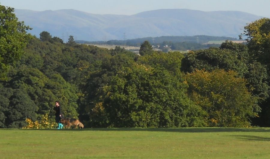 Ochil Hills from Cumbernauld House Park