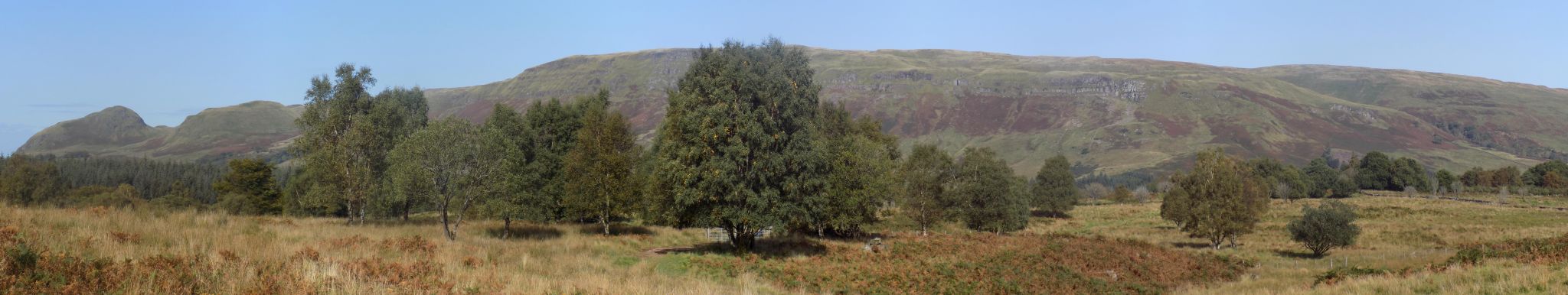 The Campsie Fells from Dumbrock Muir