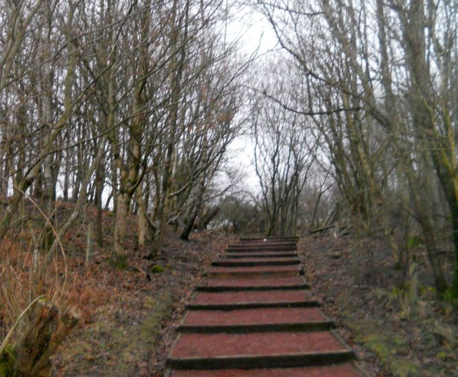 Path from Faifley to Cochno Road