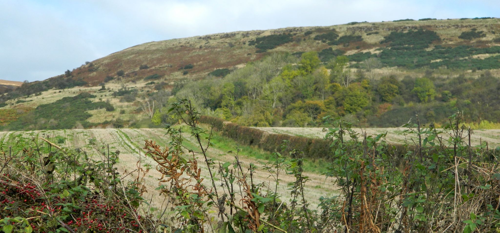 Kilpatrick Hills above Clyde Coastal Path