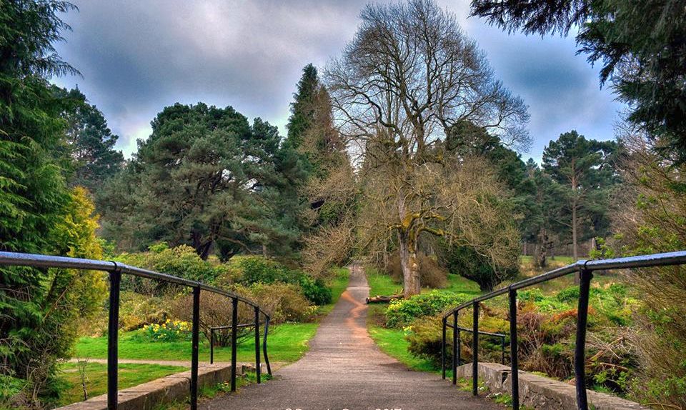 Callendar Woods on the outskirts of Falkirk