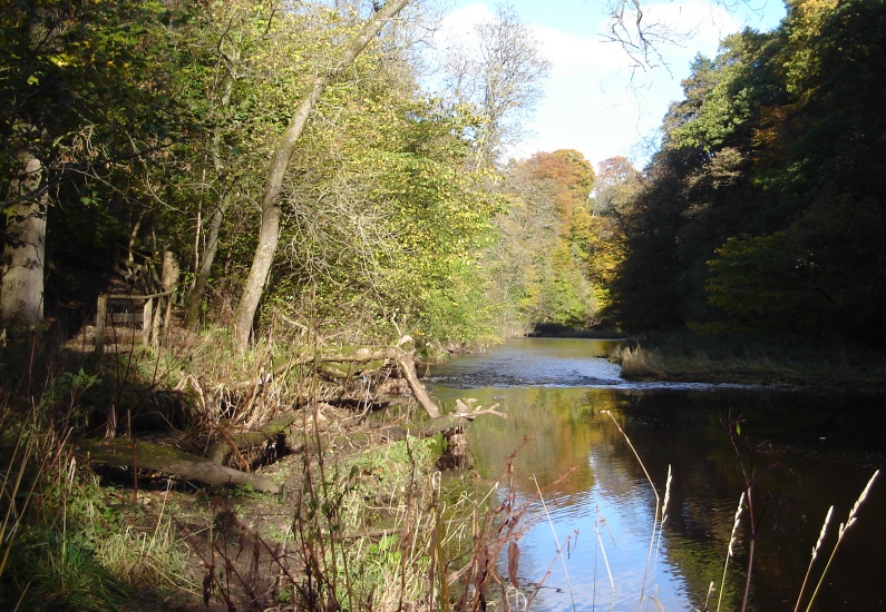 White Cart River from walkway alongside Linn Park