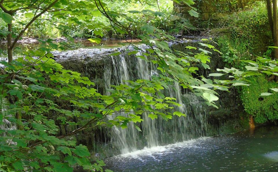 Cadzow Burn in town centre of Hamilton