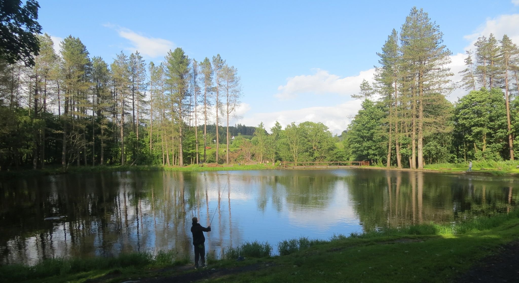 Fishing Pond in Milton Wood at Kilmacolm