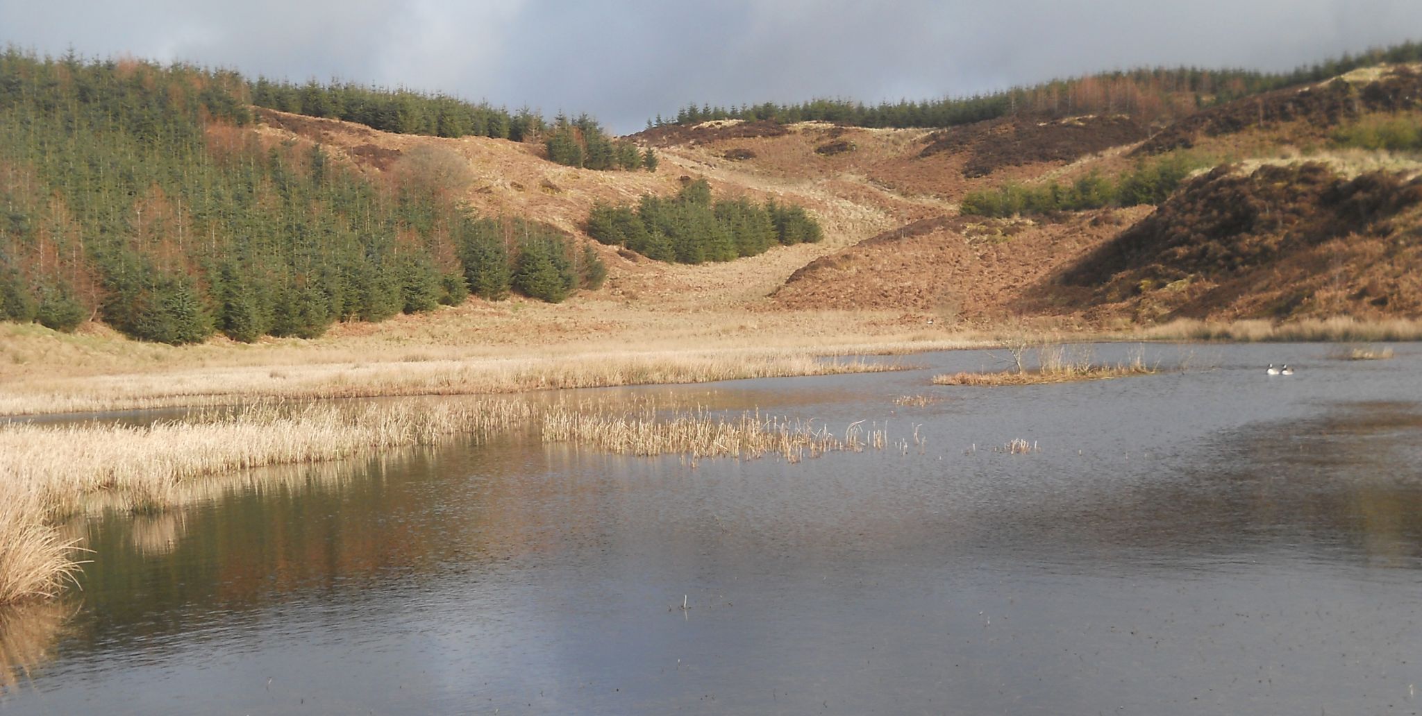 Lochan above Greenan Glen