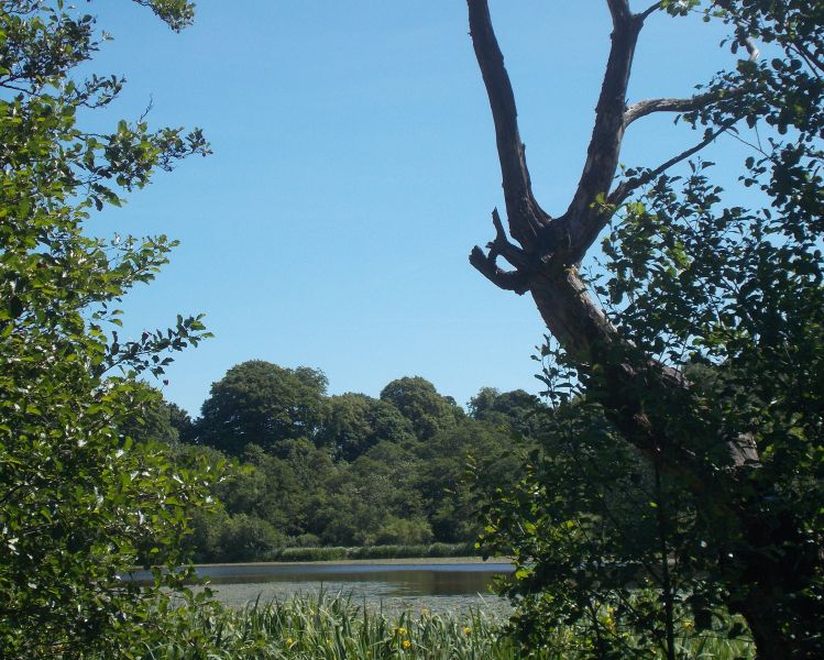 Springtime at Kilmardinny Loch