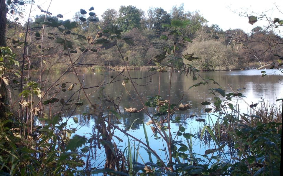 Kilmardinny Loch in Bearsden