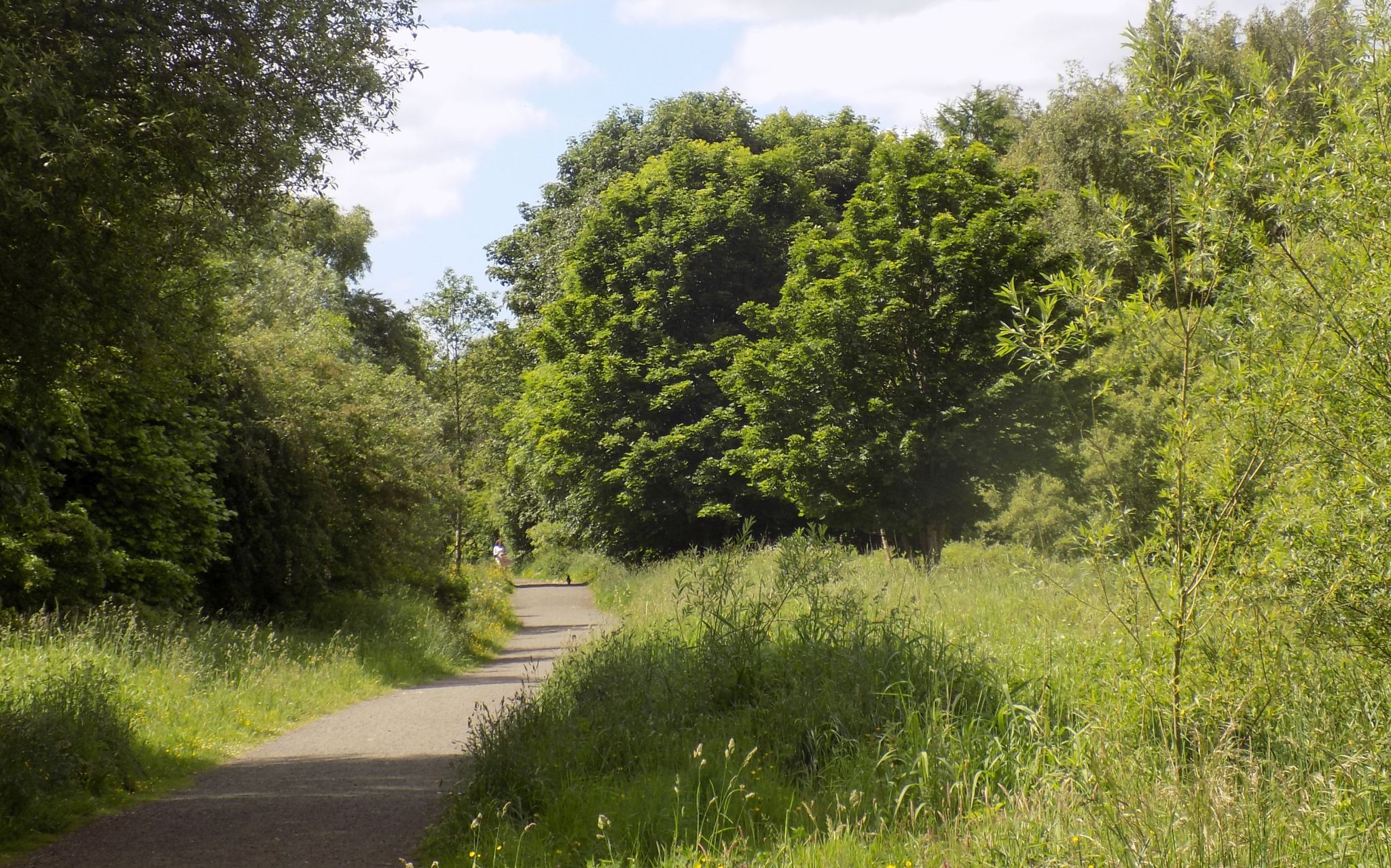 Merkland Nature Park in Kirkintilloch