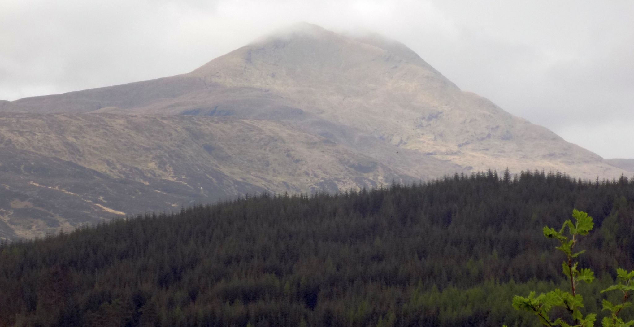 Ben Lomond