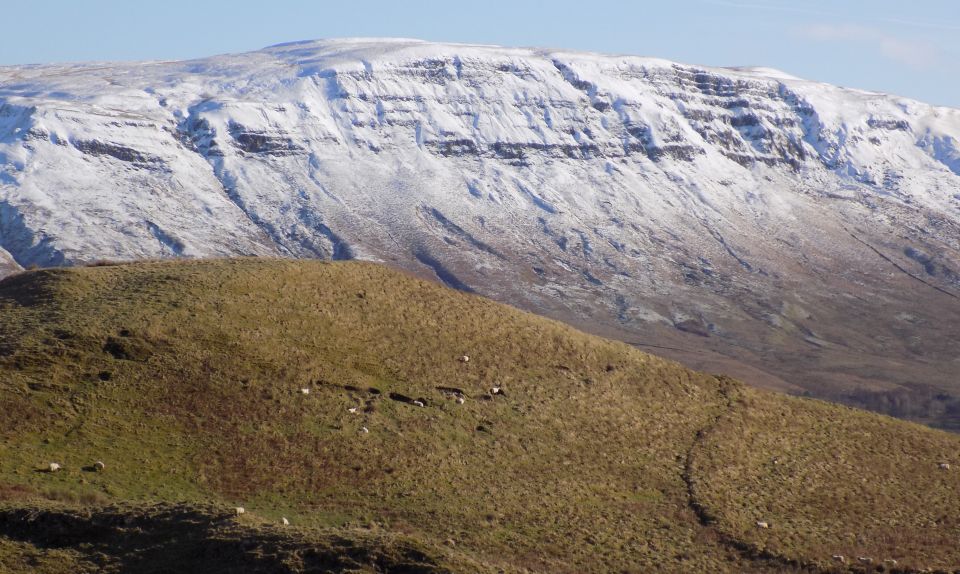 Campsie Fells from Quinlochmore