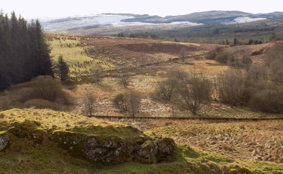 Kilpatrick Hills from Quinloch Muir