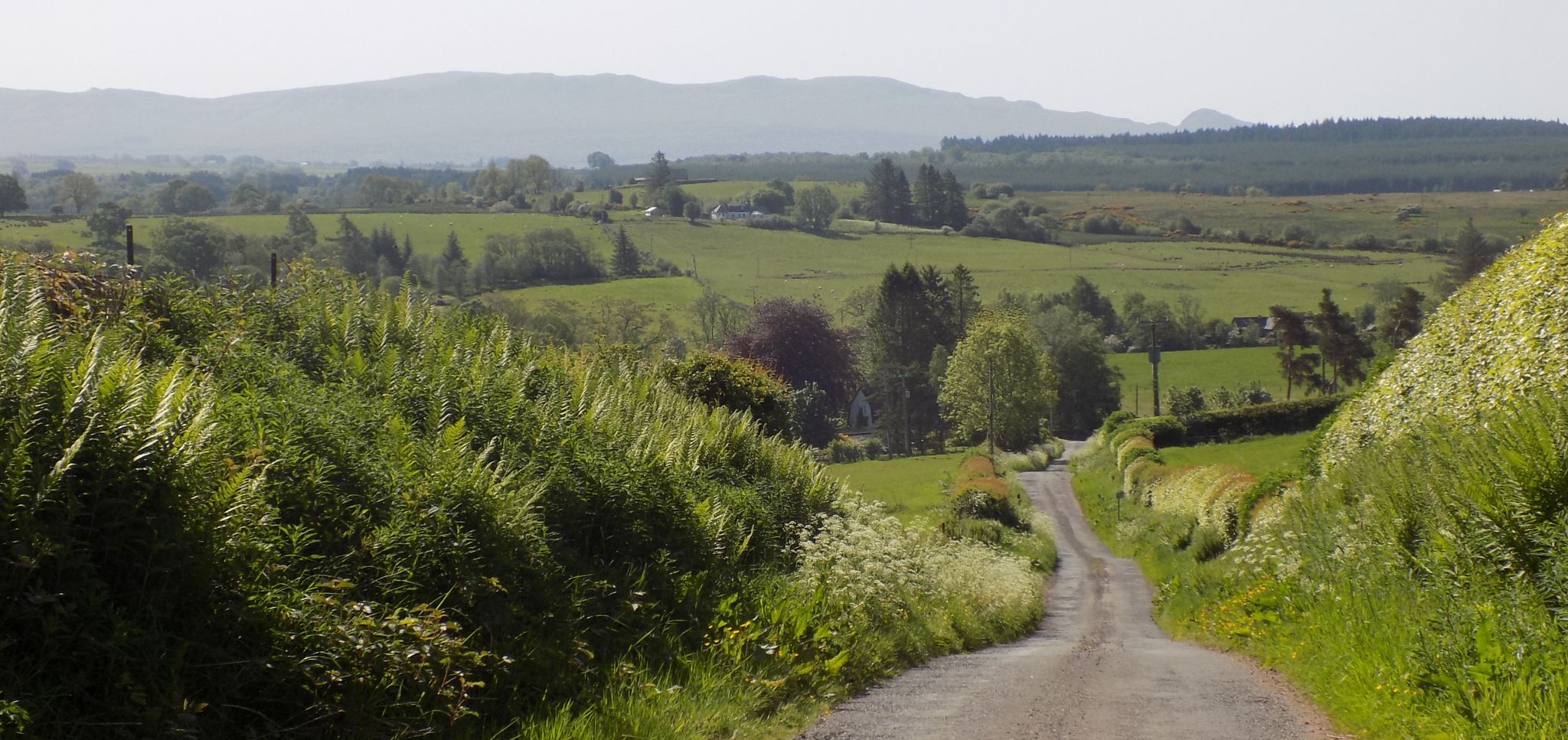 Campsie Fells from the Rob Roy Way