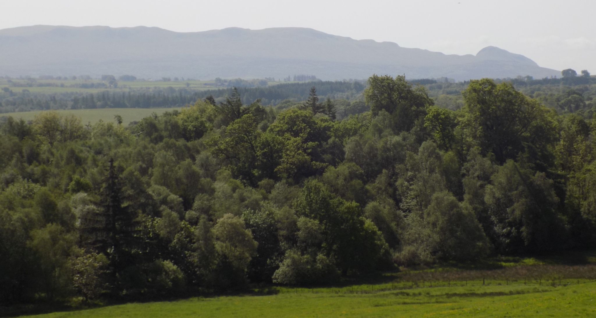 Campsie Fells from grounds of Gartmore House