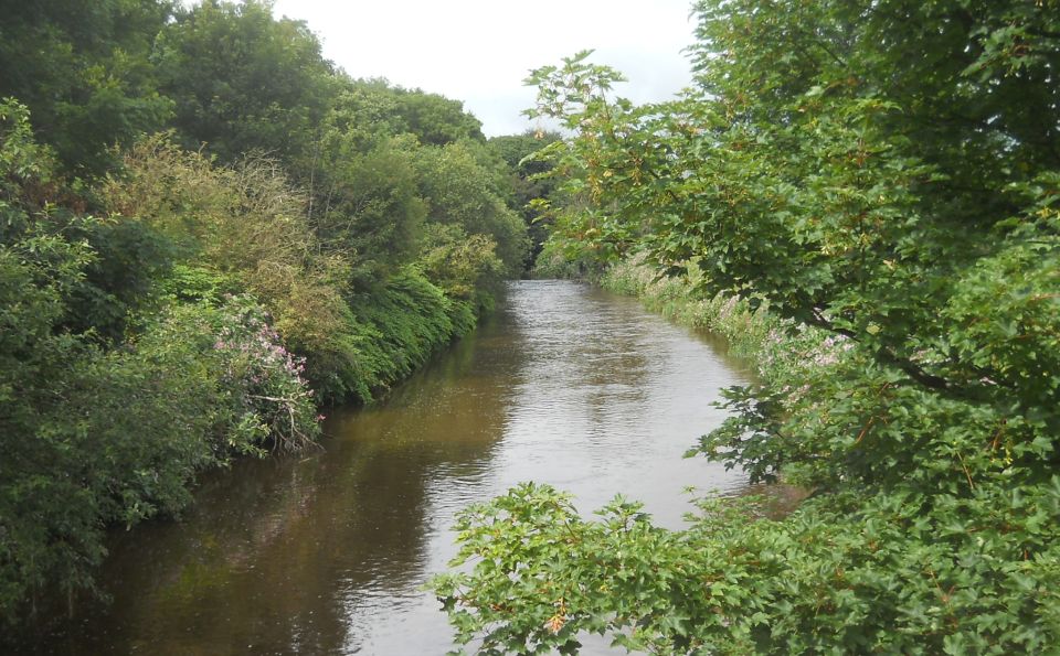 White Cart River at Rosshall Park