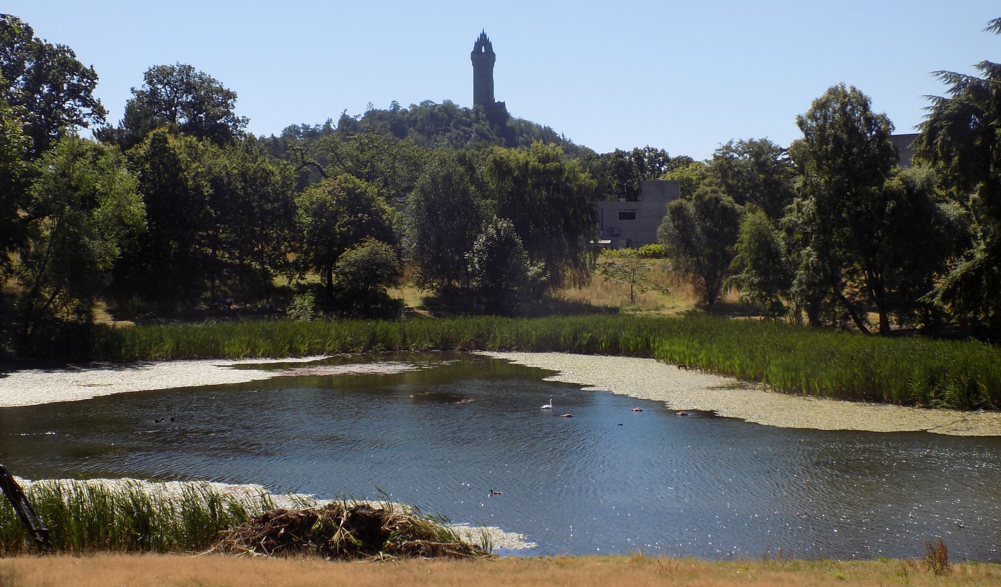 Wallace Monument above Stirling University