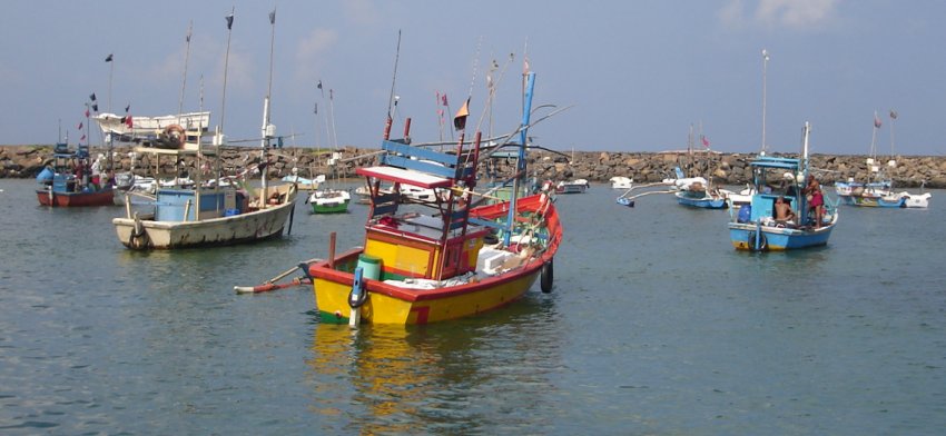 Fishing Boats in Harbour at Hikkaduwa