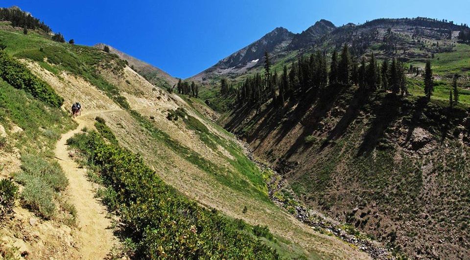 Trail to Farewell Gap and Franklin Lake in the Mineral King area