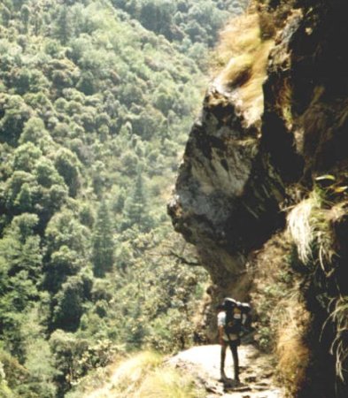 Langtang Valley by Aidan Roberts